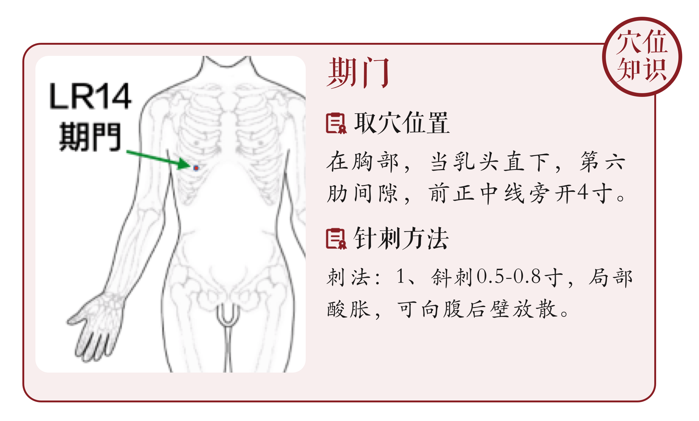 图15-2曲骨穴、中极穴矢状切面-中医学-医学